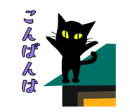 851370555