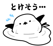 851376154