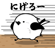 851376168