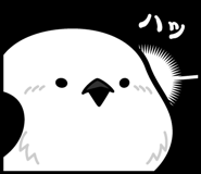 851376174