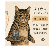 851376657