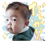 851379144