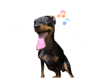 851402407