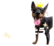 851402409
