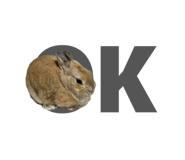 851402811