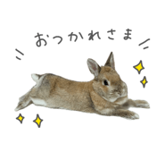 851402817