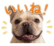 851404584