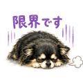 851422199