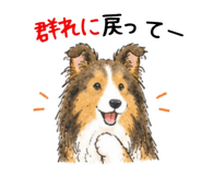 851463200