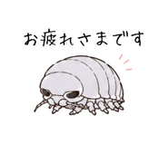 851463436
