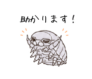 851463443