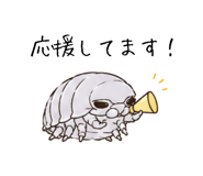 851463445