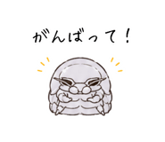 851463446