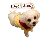 851468898