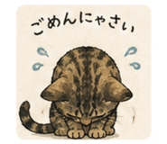 851470966
