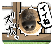 851472098