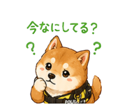 851472846