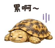 851477195