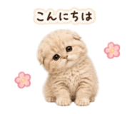 851479930