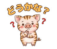 851480923