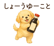 851481156