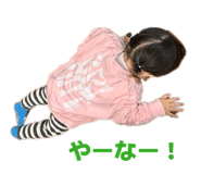 851488082