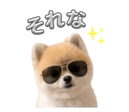851489049