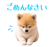 851489062