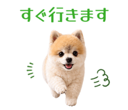 851489064