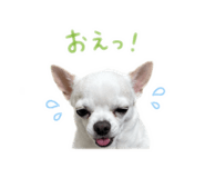 851491143