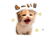 851491904