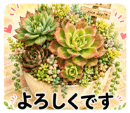 851493047