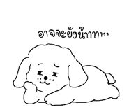851493446