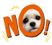 851493831