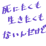 851496864