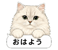 851498481
