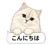 851498482