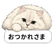 851498484
