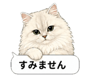 851498488