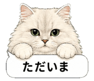 851498491