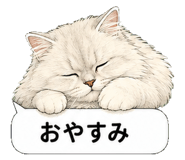 851498493