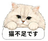 851498497