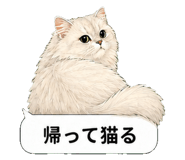 851498512