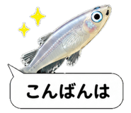 851499219