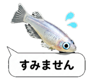 851499224