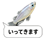 851499225