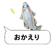 851499228
