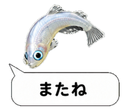 851499230