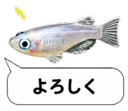 851499231
