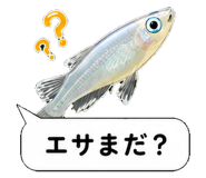 851499235